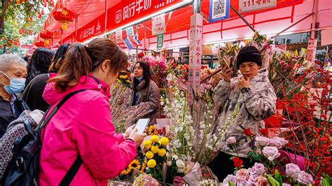 廣州有什麼花卉市場：探索繁花盛麗之城的隱世花市