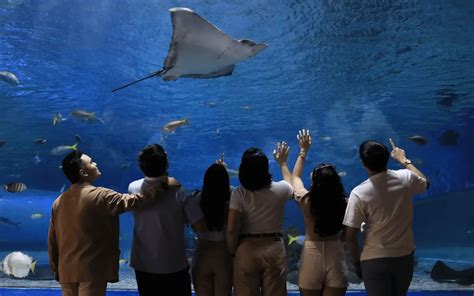 運城海洋館門票多少_海洋館是否提供家庭套票?